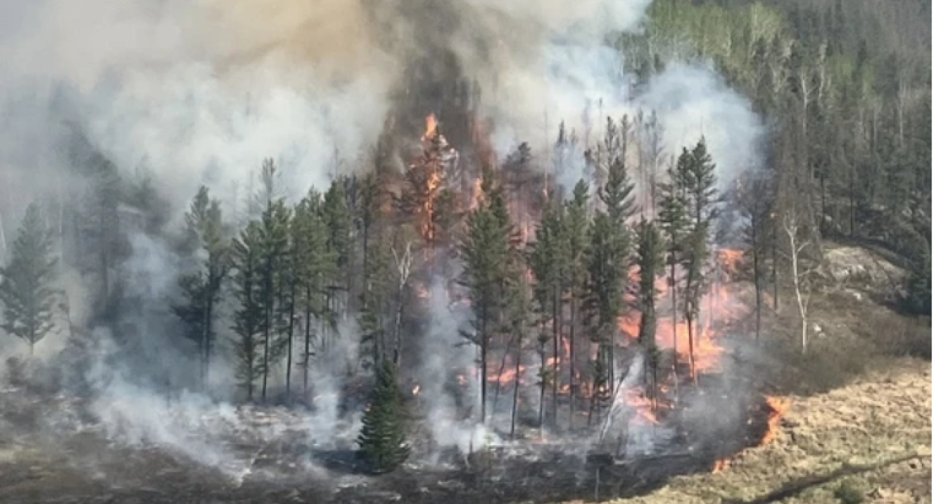 Wildfires